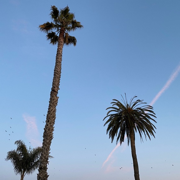 Meet your Posher, Jessika - Picture 1 of 1